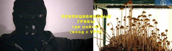 ГАЛЛЮЦИНОГЕННЫЕ ГРИБЫ Вязники