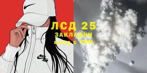 ГАЛЛЮЦИНОГЕННЫЕ ГРИБЫ Вяземский