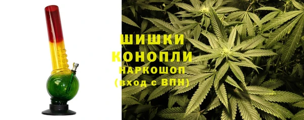 ГАЛЛЮЦИНОГЕННЫЕ ГРИБЫ Вяземский