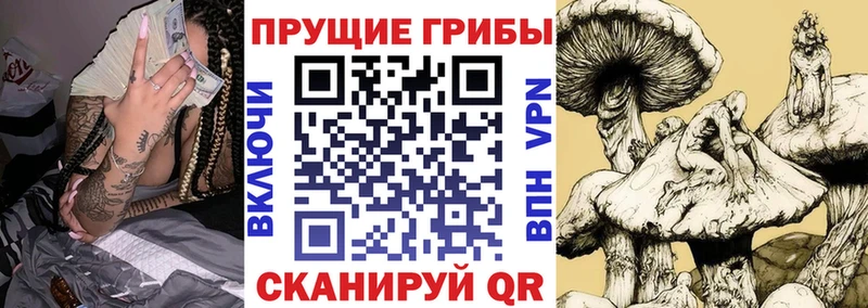 Галлюциногенные грибы прущие грибы  Дрезна 